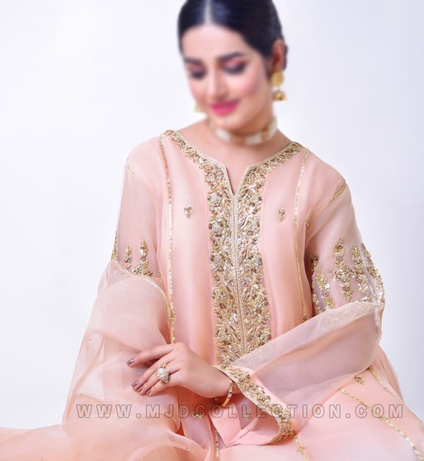 Agha Noor Ersa Organza Luxury Collection