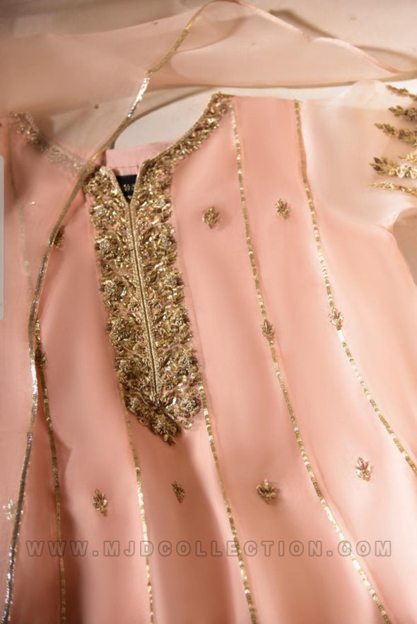 Agha Noor Ersa Organza Luxury Collection