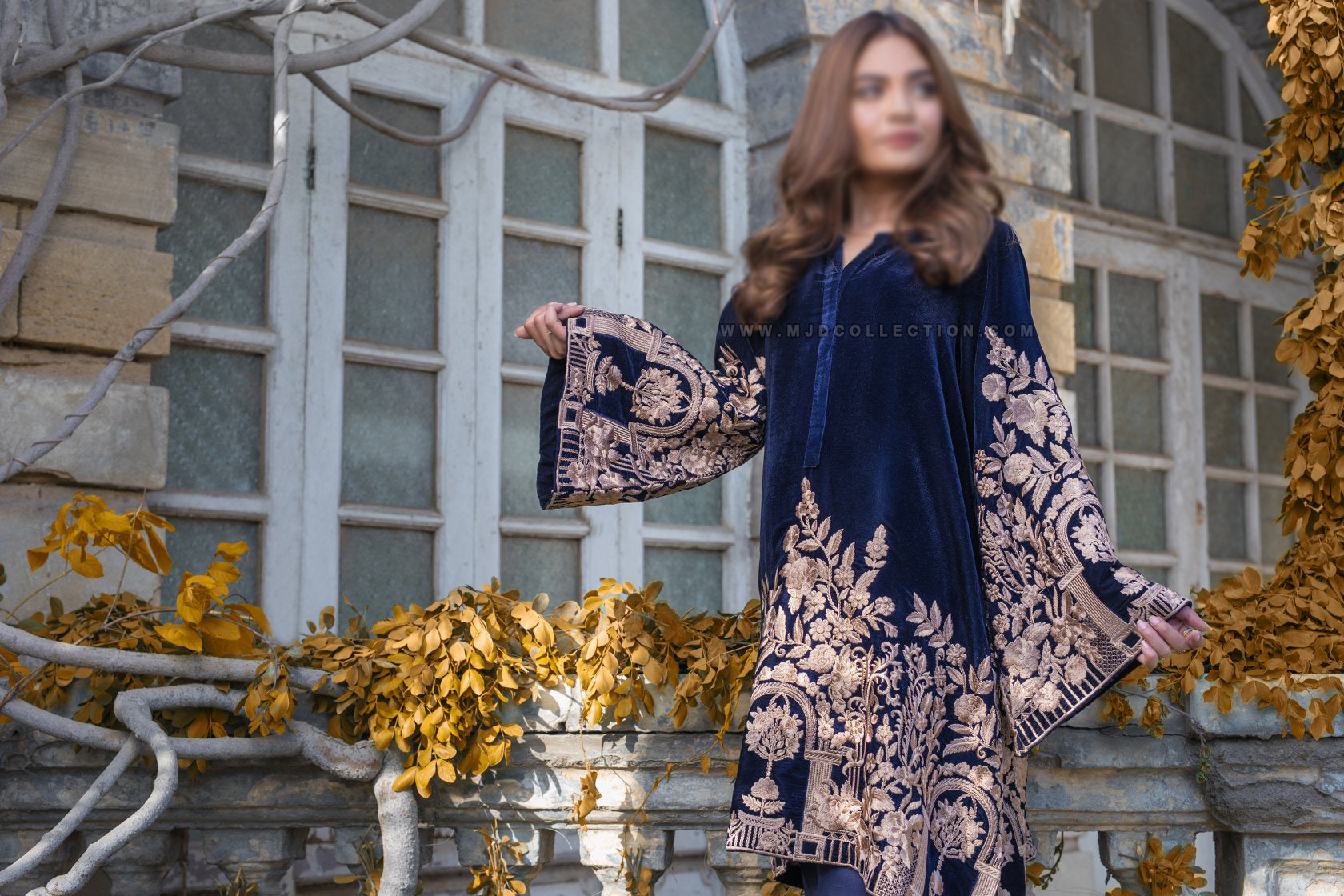Agha noor Luxury Embroiderd Velvet Collection