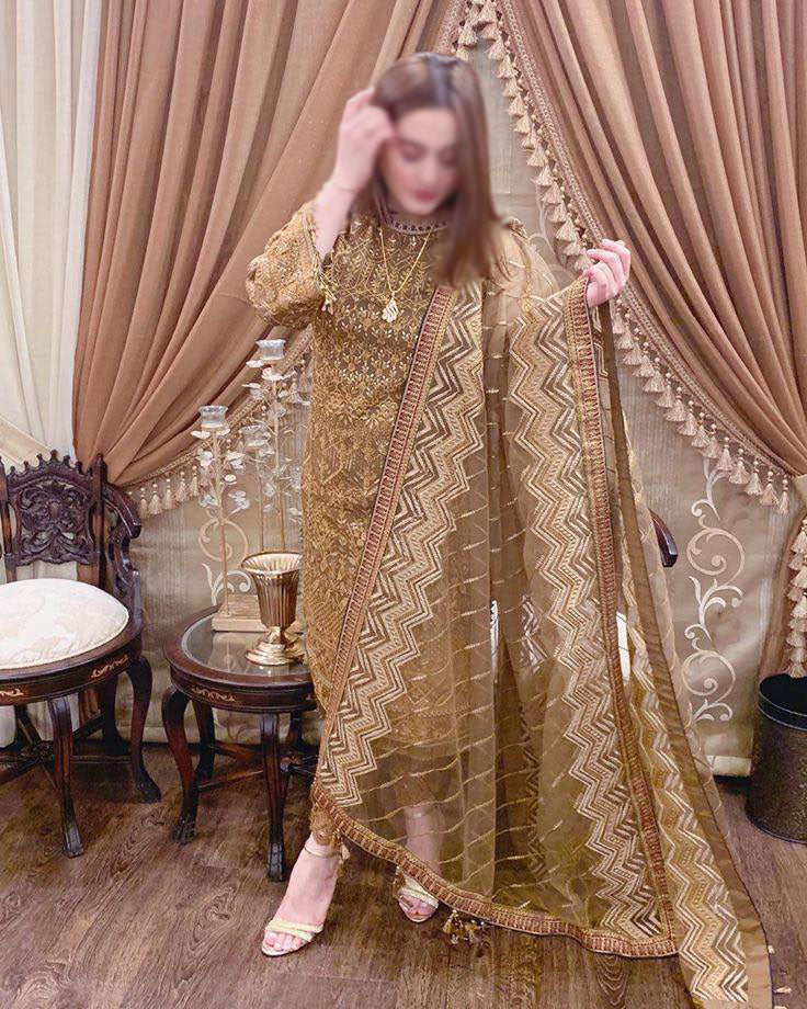 Baroque Sun Dust Chantelle Embroidered Chiffon Collection Vol.7 D-07