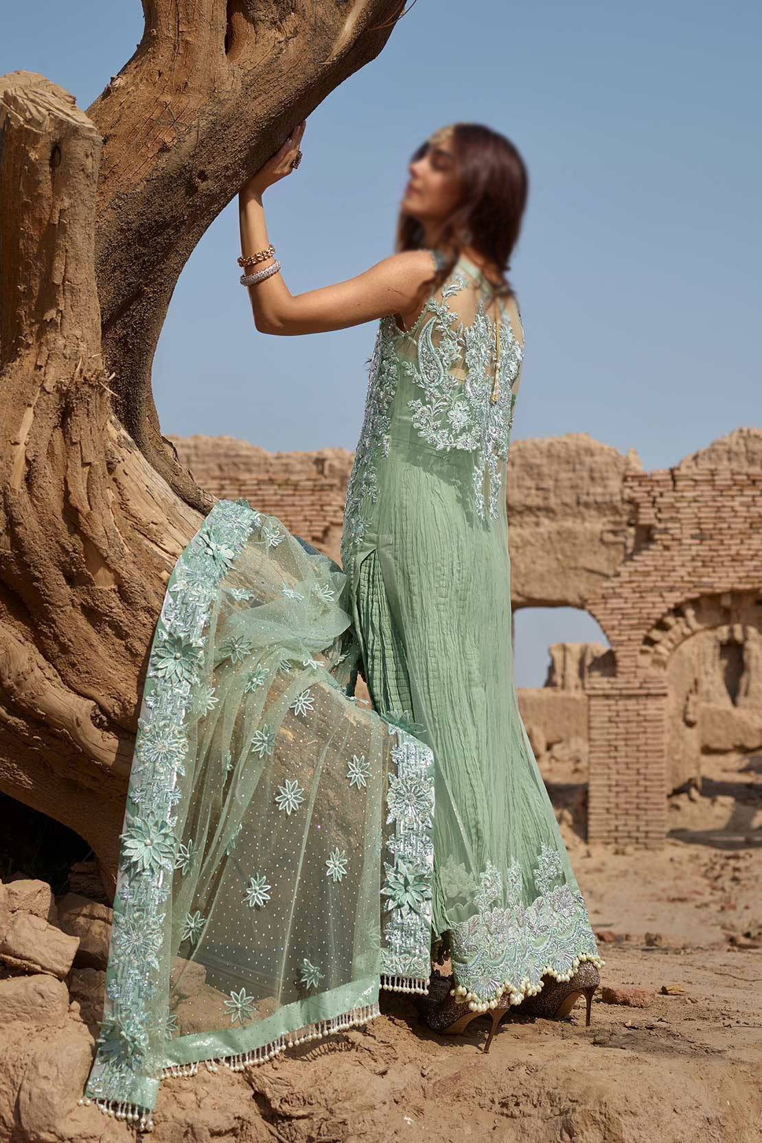 Crimson Starry Night Luxe by Saira Shakira D2-A Parakeet The Nawab's Daughter Maya Ali