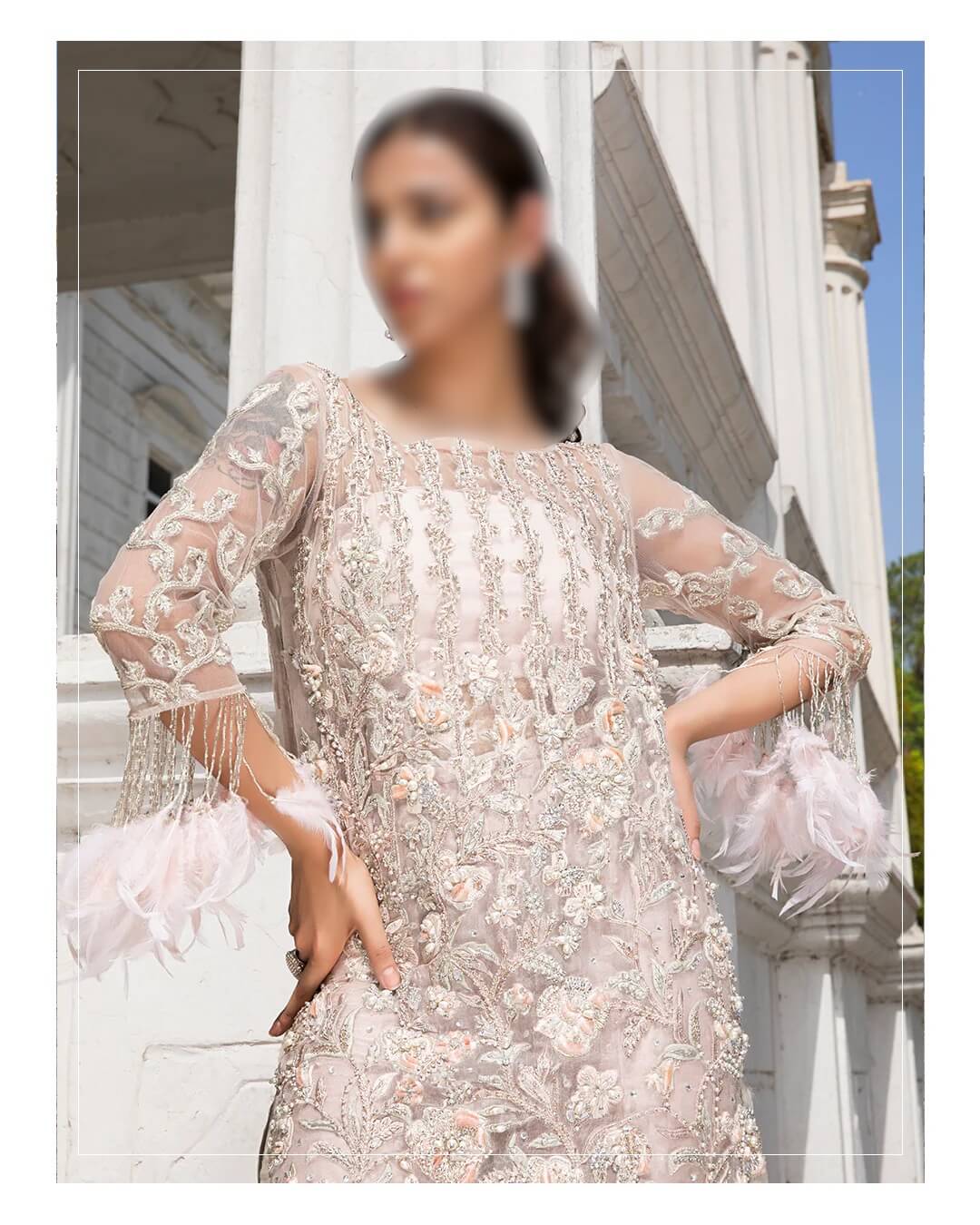 Erum khan Feather luxury Net embroidered